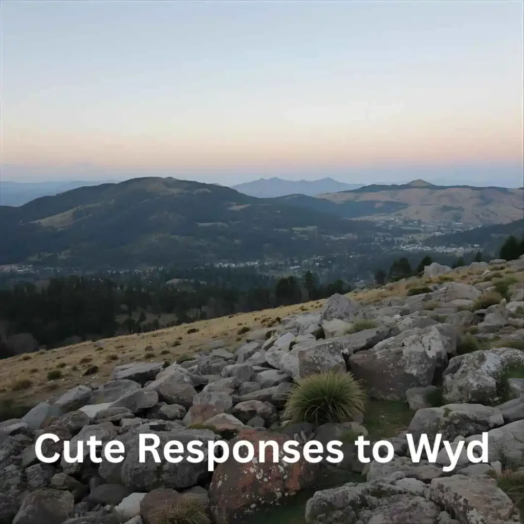 Cute Responses to Wyd