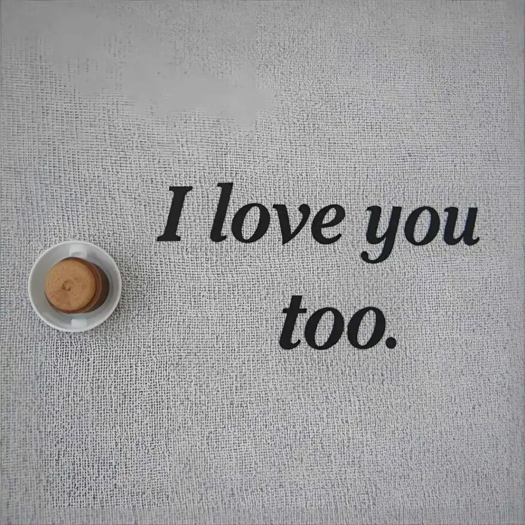 Sarcastic Responses to I Love You Too