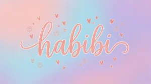 Habibi Mean